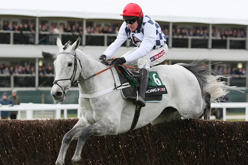 HORSE RACING HOSPITALITY