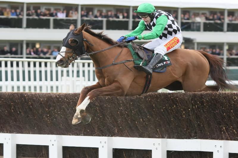 A horse and its jockey take on one of the Cheltenham fences